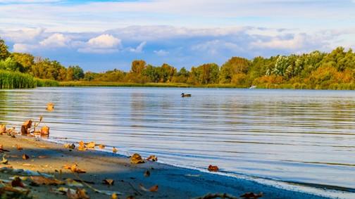 7 ok, amiért muszáj elmenned Tiszafüredre!