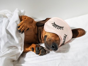 Kedvenc alvópózod félelmetesen sokat elárulhat a személyiségedről: erre utal, hogy milyen pozícióban alszol