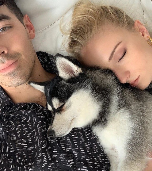 Sophie Turner és Joe Jonas kutyája volt a legjobban öltözött az esküvőjükön