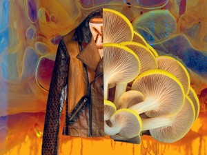 Élő baktériumokból készült ruhák menthetik meg a divatipart?