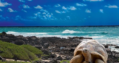 Megtaláltuk az Indiai-óceán egyik legszebb szigetországát - Fedezd fel velünk Mauritius-t!