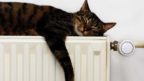 Menstruációs zavarok és a hormonok