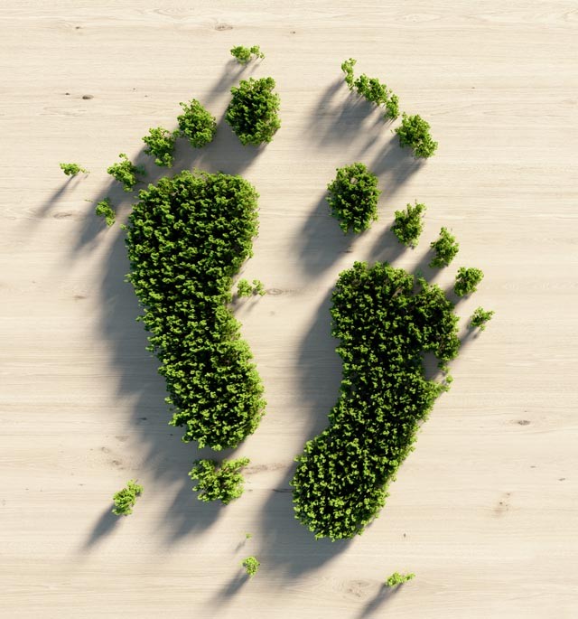 Tippek a hétköznapokra: így csökkentsd az ökológiai lábnyomod!