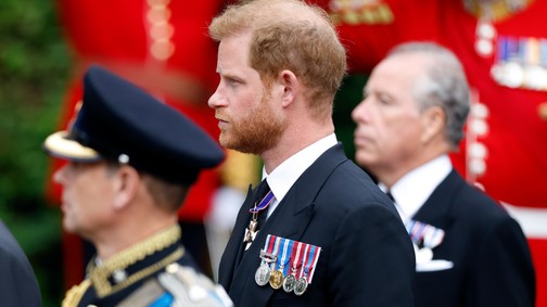 Harry herceg szerint meg vannak számlálva a napjai a királyi család tagjaként