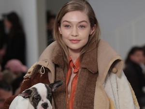 A divathét legcukibb sztárja: az unatkozó kutyus!