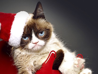 7 karácsonyi mém, ami tökéketesen leírja mit érzünk ünnepekkor