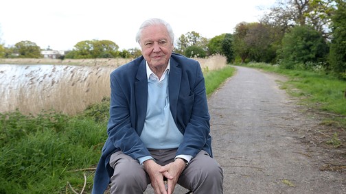 5 tanács David Attenborough-tól a fenntartható élethez