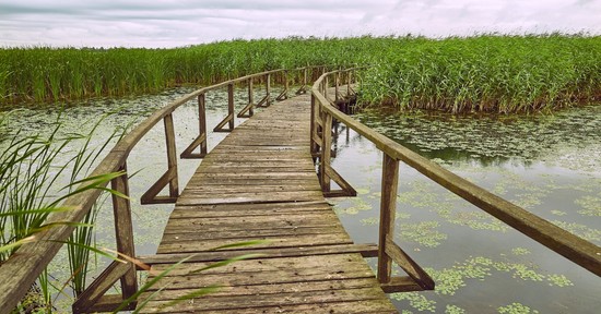 5 gyönyörű kirándulóhely Magyarországon, amiről talán még nem is hallottál, de látnod kell egyszer az életben