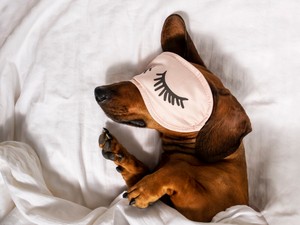 Alvás előtti meditáció - Működik?