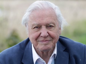 10 fotó a fiatal David Attenborough természettudósról, aki miatt sokkal jobb hely lett ez a világ