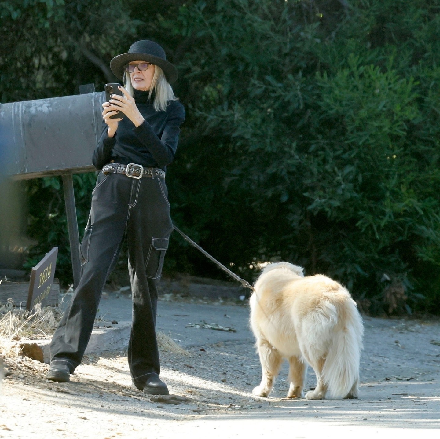 2024 szeptemberében a kutyáját sétáltatta Brentwoodban, az otthonától nem messze. 