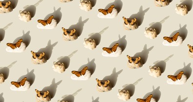 Hogyan használd az aggodalom köveket a stressz kezelésére?