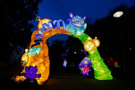 Miért fontos a felnőttkori játékosság?