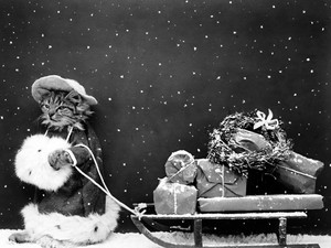 4+1 karácsonyi ajándéktipp az utolsó pillanatra