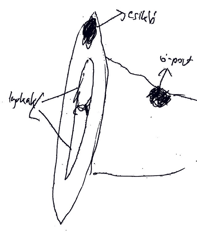 De hol is van a G-pont, srácok?