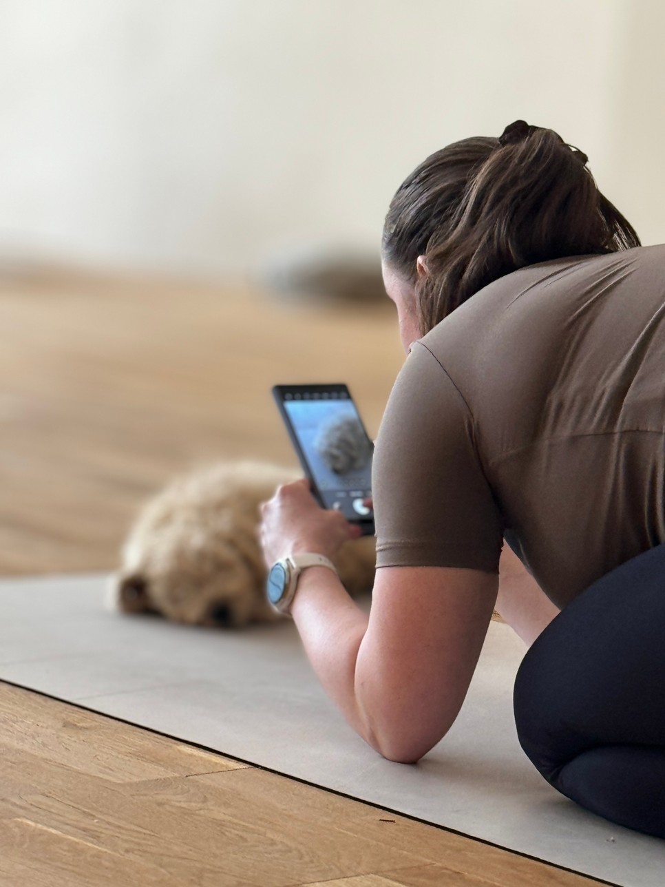 A jógaszőnyegen szunyókáló kutyusok mindenkit megihletnek