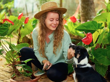 2 növény, amit azonnal távolíts el a kertedből, ha van kutyád: súlyos mérgezést okozhatnak