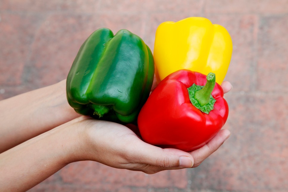 Neked melyik színű kaliforniai paprika a kedvenced?