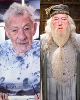  Albus Dumbledore szerepe ikonikus, nehéz elképzelni, de többen is visszautasították. Igaz, Sir Ian McKellen csak azért, mert felkérték ugyan, hogy szerepeljen a Harry Potter-sorozatban, de nem árulták el, melyik szerepet szánnák neki. McKellen pedig így nem vállalta a szerepet.