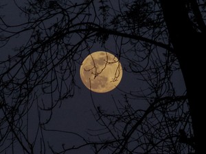 Telihold: Szex, kaland és rengeteg szenvedély - ezt hozza a Vadász Hold ma