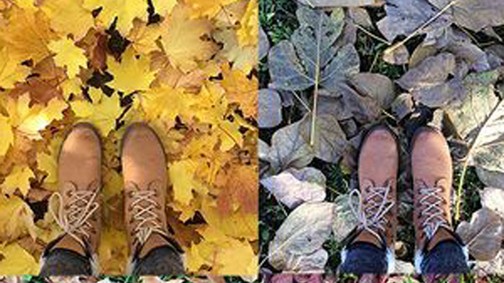 A CCC és a GLAMOUR játékának nyertesei!