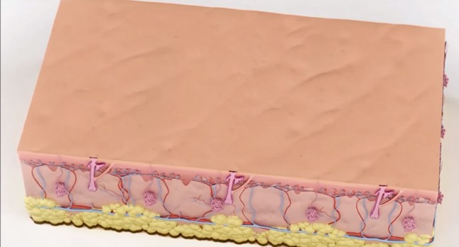 Lola is a végleges megoldásra szavazott