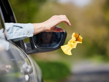 Te kidobnál egy almacsutkát az autóból? Nem is sejted, mekkora bajt idézhetsz vele elő