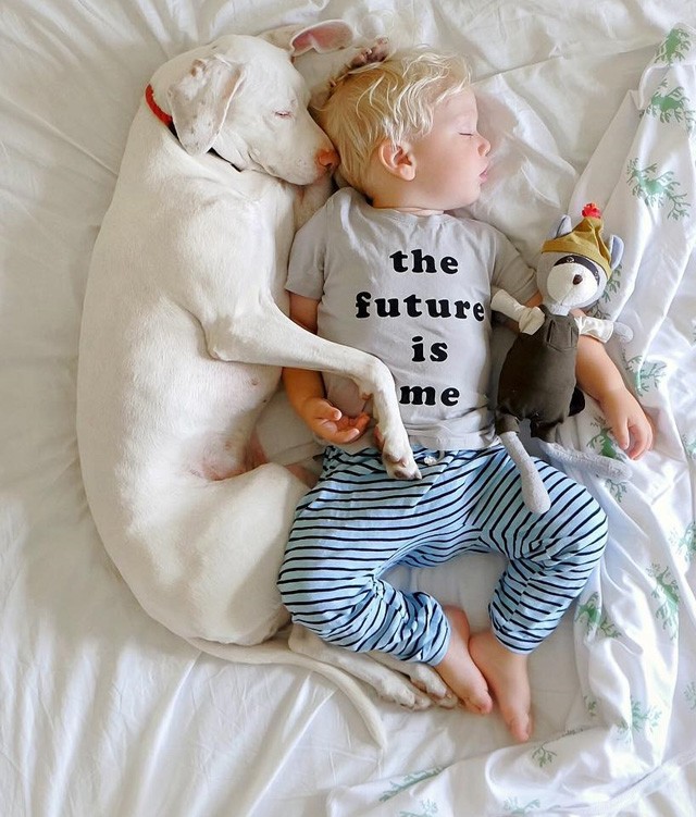 Az örökbefogadott kutyus legjobb barátja ez a kisbaba lett! Csak tőle nem fél!