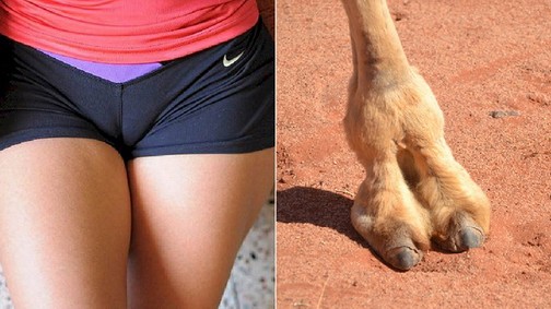 Őrület! Ez a bugyi direkt tevepatát csinál és népszerű!