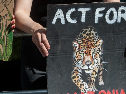 Mi az, amit most azonnal tehetsz az égő esőerdőkért?