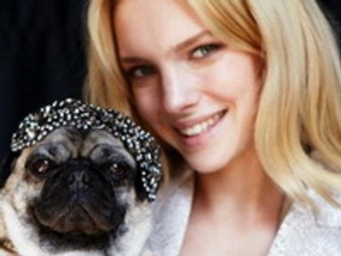 Gardróbot frissít a topmodell