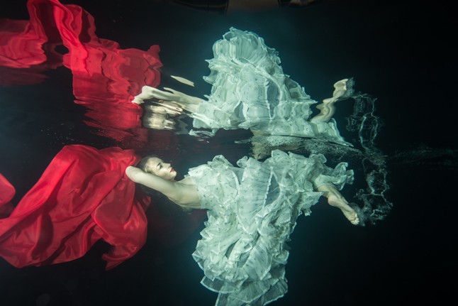 Csíz és víz- Csodás fotók a felszín alatt