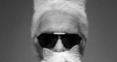 Lagerfeld szerzett pasit Vanessa Paradisnek