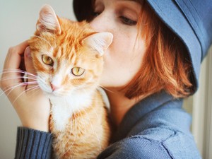 Kvíz: 8 kérdés, amire minden macskatartónak illik helyesen válaszolnia