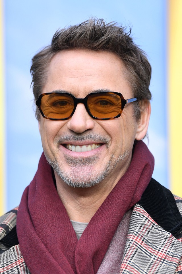 Robert Downey Jr. 