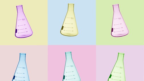 Két magyar nő találmánya vethet véget a műanyagok uralmának: Poliloop, a műanyaglebontó baktériumkoktél