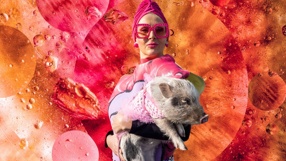 Itt a Disznó hónapja és azt üzeni: Merjünk elindulni, változtatni!