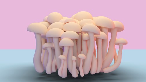 Stella McCartney: „A gombák változtatják meg a divatipart”