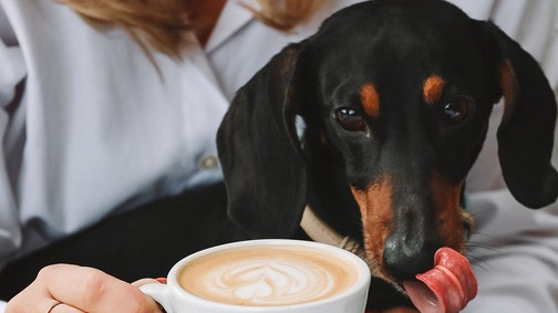 Alig egy éve nyílt, de már most Budapest egyik leghangulatosabb étterme ez a kis ékszerdoboz