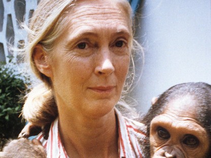 Ed Sheeranon és a Foo Fighters-en túl: Ma jelentett be a Sziget két világszenzációt a sajtótájékoztatóján