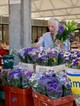 Dubrovnik nemcsak felismerte a tömegturizmus problémáját, hanem tudatosan próbálja kezelni is.