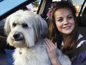 5 kutyabarát kávézó és reggeliző Budapesten