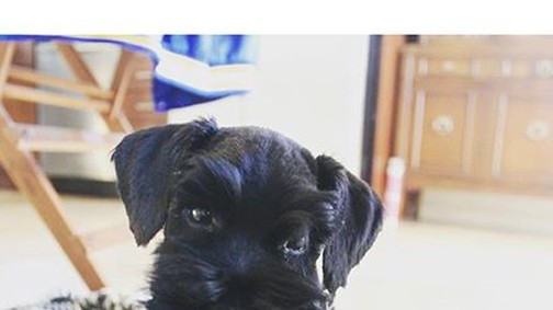 Zendaya kapta a legédesebb karácsonyi ajándékot