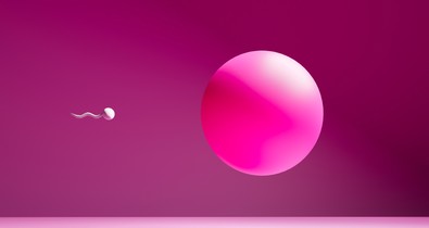 A donorsejtes lombik a terhesség, és az élet lehetőségét adományozza