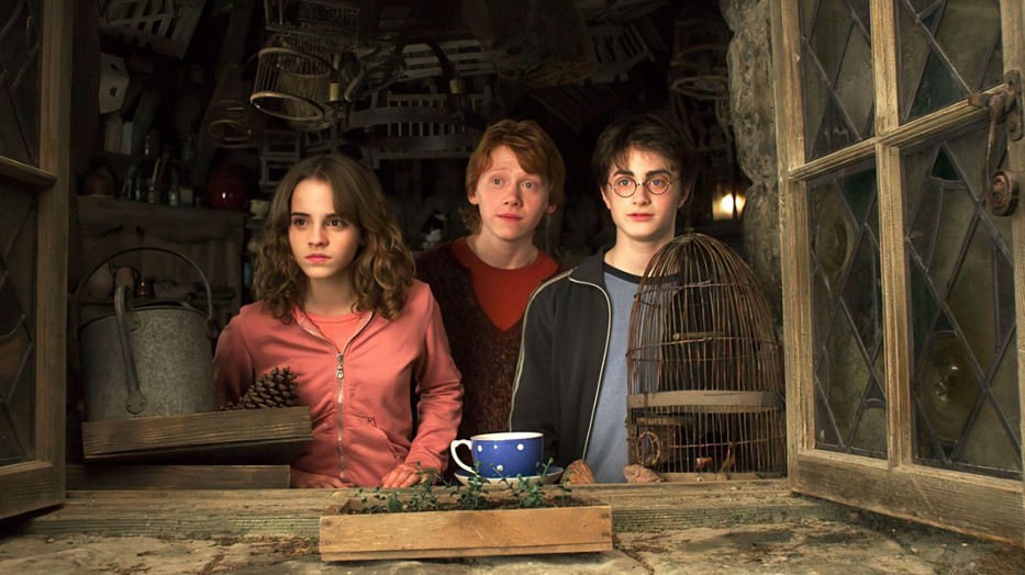 Kiderült, kik lesznek az új Harry Potter-sorozat szereplői