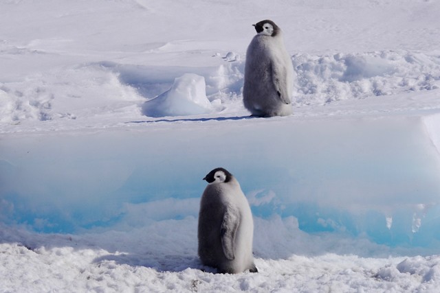 Izgalmas és hátborzongató részleteket mutatunk a National Geographic új sorozatának forgatásáról