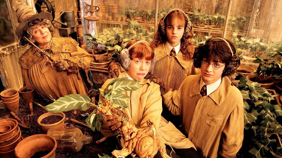 Ron, Hermoine és Harry gyógynövénytan órán