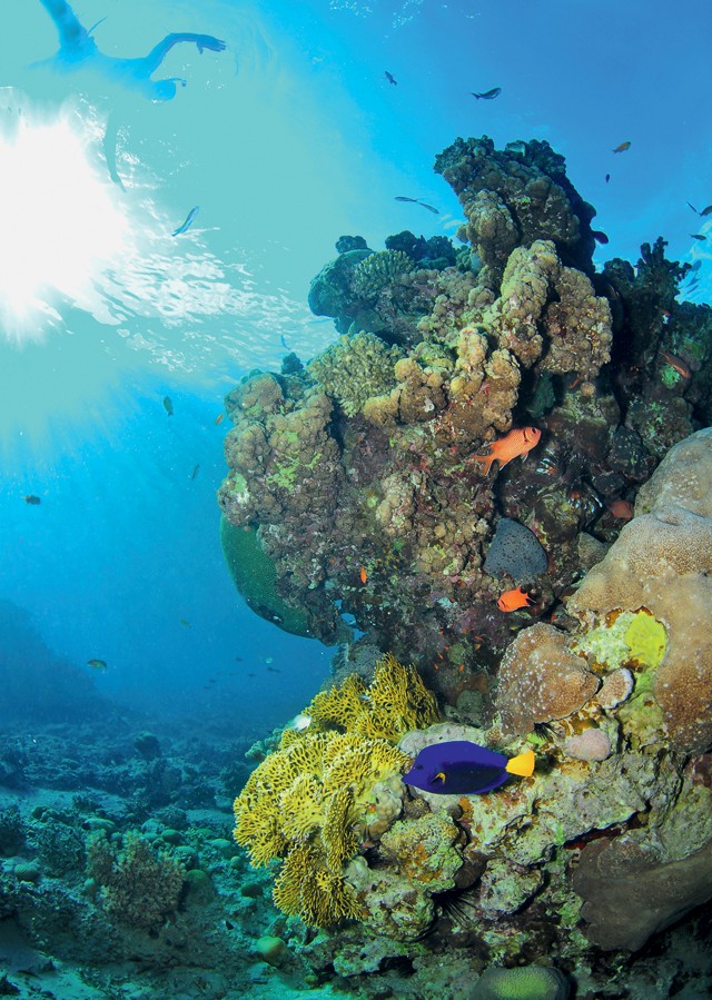 Egész évben napsütés - Izraelbe egyszer el kell menned