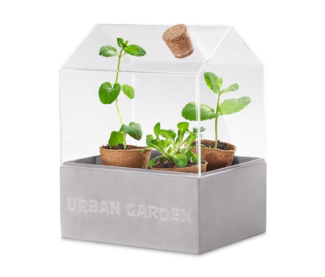 Mini üvegház Tchibo 3 995 Ft