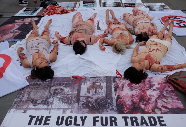 Környezetvédelmi akció Londonban